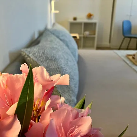 Guest house Cosy In The Heart Of The Rovinj